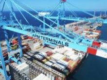 APM Terminals Pipavav creates record in Limestone discharge