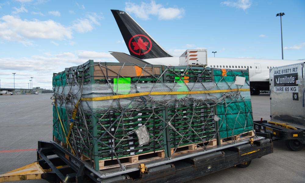 Air Canada Cargo announces launch routes for newly converted freighter